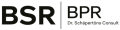 Logo der Firma BPR Dr. Schäpertöns Consult GmbH & Co. KG